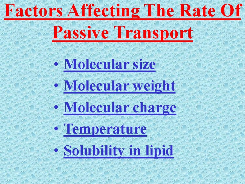 Factors Affecting The Rate Of  Passive Transport  Molecular size   